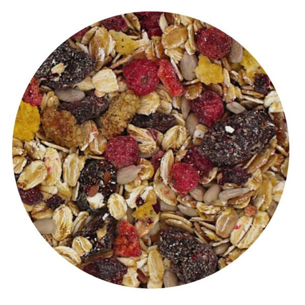 Beeren Müsli